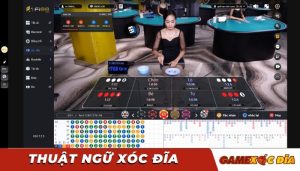 Thuật ngữ trong xóc đĩa